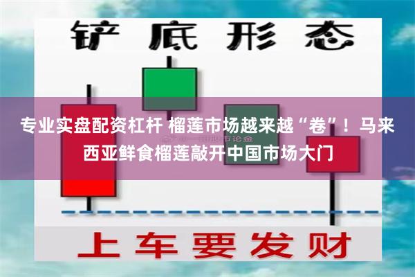 专业实盘配资杠杆 榴莲市场越来越“卷”！马来西亚鲜食榴莲敲开中国市场大门