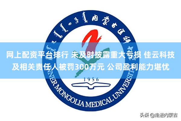 网上配资平台排行 未及时披露重大亏损 佳云科技及相关责任人被罚300万元 公司盈利能力堪忧