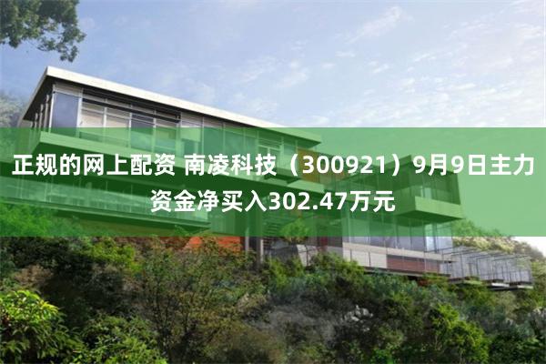 正规的网上配资 南凌科技（300921）9月9日主力资金净买入302.47万元