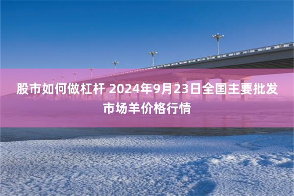 股市如何做杠杆 2024年9月23日全国主要批发市场羊价格行情