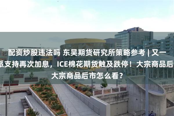 配资炒股违法吗 东吴期货研究所策略参考 | 又一美联储鹰派支持再次加息，ICE棉花期货触及跌停！大宗商品后市怎么看？