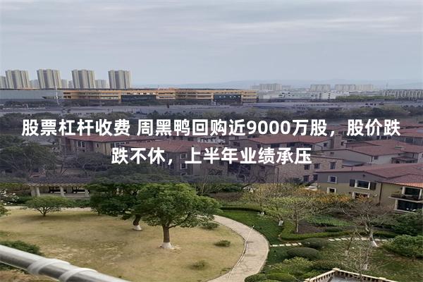 股票杠杆收费 周黑鸭回购近9000万股，股价跌跌不休，上半年业绩承压