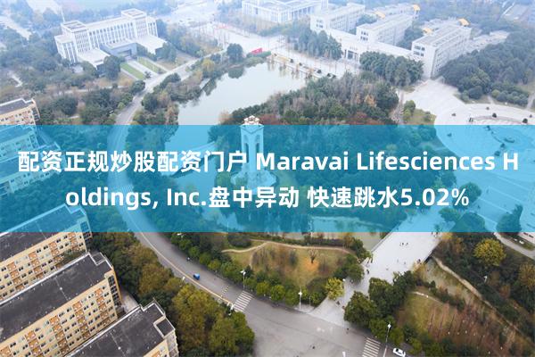 配资正规炒股配资门户 Maravai Lifesciences Holdings, Inc.盘中异动 快速跳水5.02%