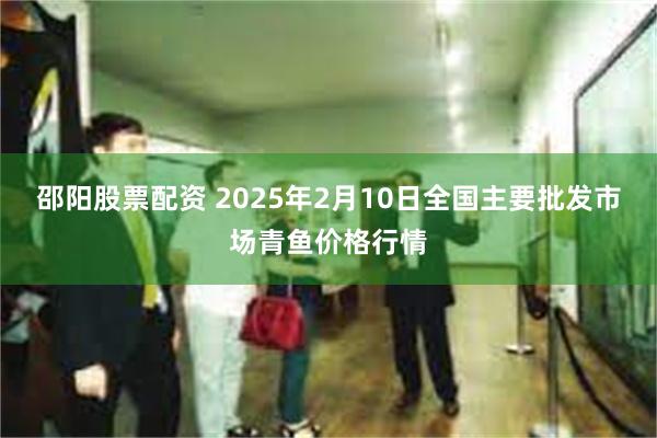 邵阳股票配资 2025年2月10日全国主要批发市场青鱼价格行情