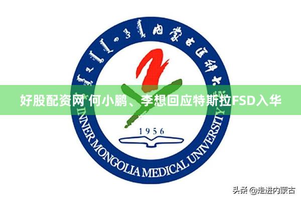 好股配资网 何小鹏、李想回应特斯拉FSD入华