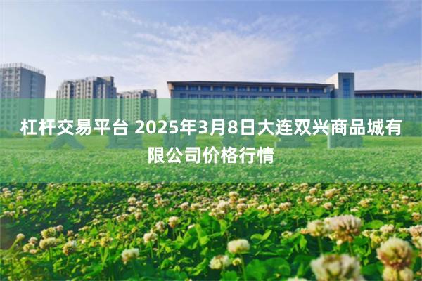 杠杆交易平台 2025年3月8日大连双兴商品城有限公司价格行情